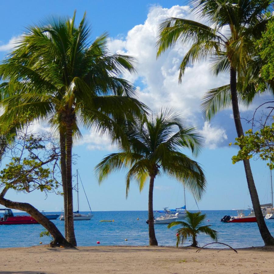 La Plage - Mer Des Caraibes A 30M 莱特鲁瓦西莱 外观 照片